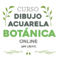 CURSO DIBUJO ACUARELA BOTANICA